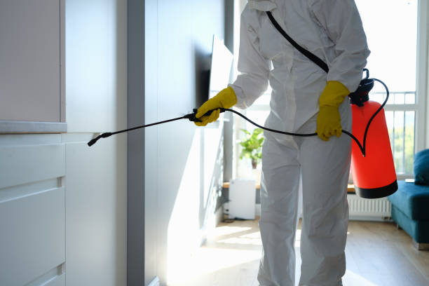 Best Mold Remediation  in Colbert, OK