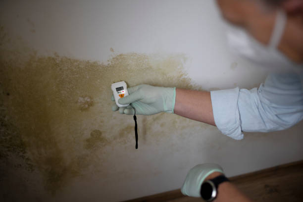 Best Local Mold Removal Service  in Colbert, OK