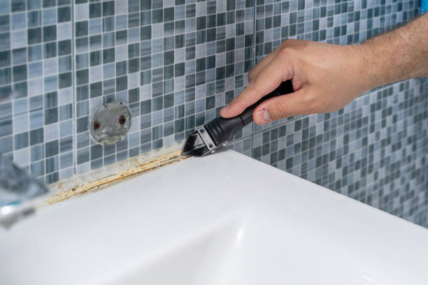 Best Mold Damage Repair  in Colbert, OK