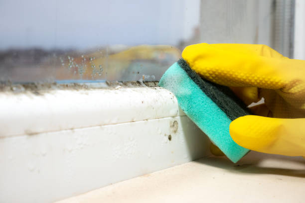Colbert, OK Mold Removal Company