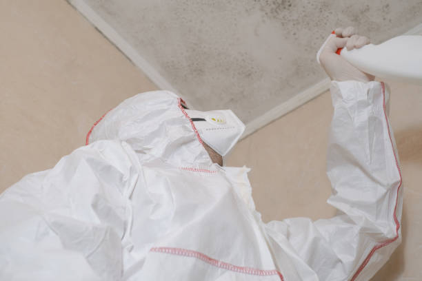 Attic Mold Removal in Colbert, OK